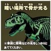 Tyrannosaurus Skeleton Sample Ver. - Ania | Takara Tomy Figure