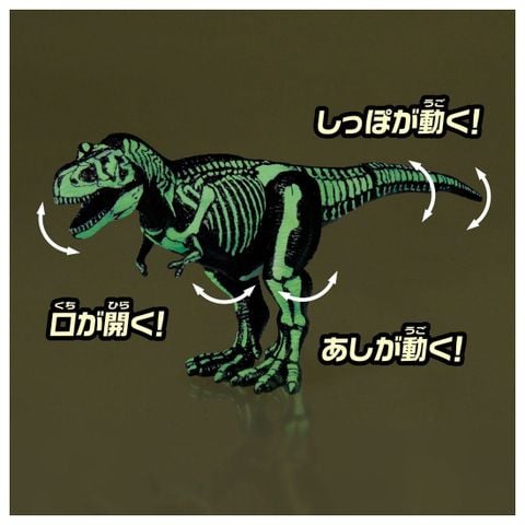 Tyrannosaurus Skeleton Sample Ver. - Ania | Takara Tomy Figure
