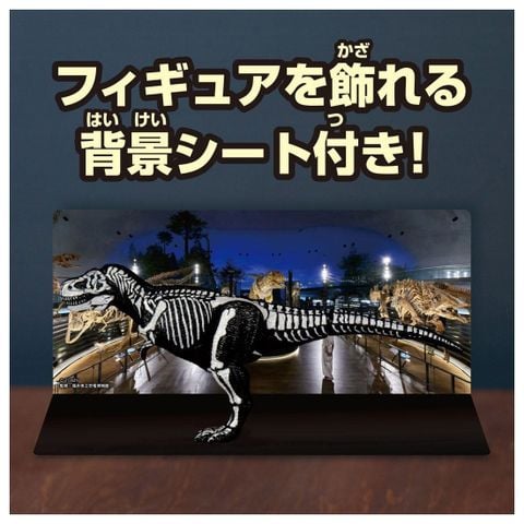 Tyrannosaurus Skeleton Sample Ver. - Ania | Takara Tomy Figure
