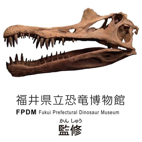 Spinosaurus Skeleton Sample Ver. - Ania | Takara Tomy Figure