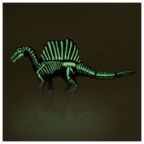Spinosaurus Skeleton Sample Ver. - Ania | Takara Tomy Figure