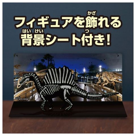Spinosaurus Skeleton Sample Ver. - Ania | Takara Tomy Figure