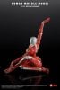 Human Muscle Model Female Ver. Red 1/12 | KEEPGOING Studio Figure