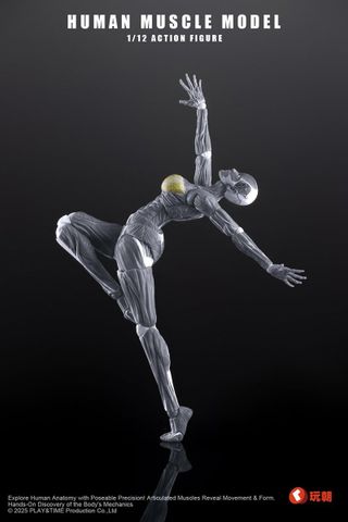 Human Muscle Model Female Ver. Gray 1/12 | KEEPGOING Studio Figure