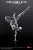 Human Muscle Model Female Ver. Gray 1/12 | KEEPGOING Studio Figure