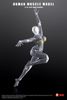Human Muscle Model Female Ver. Gray 1/12 | KEEPGOING Studio Figure
