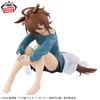Agnes Tachyon - Shousetsu Gekijouban Umamusume Pretty Derby Shin Jidai no Tobira Relax Time | Bandai Spirits Figure