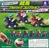 Horse Racing Pull back Collection 6 Pack BOX - Blue Mountain Goods