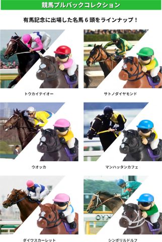 Horse Racing Pull back Collection 6 Pack BOX - Blue Mountain Goods