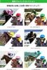 Horse Racing Pull back Collection 6 Pack BOX - Blue Mountain Goods