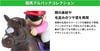 Horse Racing Pull back Collection 6 Pack BOX - Blue Mountain Goods