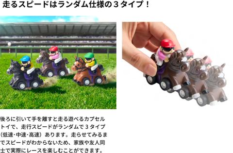 Horse Racing Pull back Collection 6 Pack BOX - Blue Mountain Goods