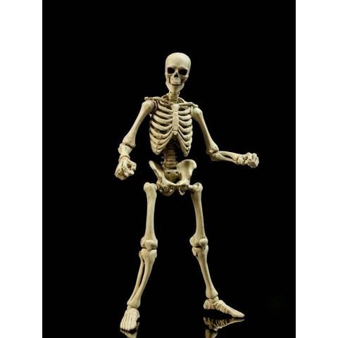 Epic H.A.C.K.S. / Classic Bone 1/12 | Boss Fight Studio Figure