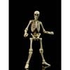 Epic H.A.C.K.S. / Classic Bone 1/12 | Boss Fight Studio Figure