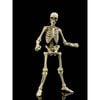 Epic H.A.C.K.S. / Classic Bone 1/12 | Boss Fight Studio Figure