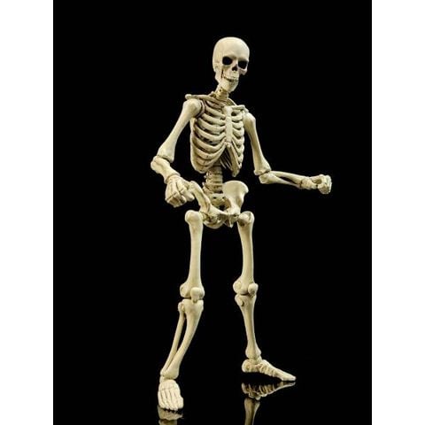 Epic H.A.C.K.S. / Classic Bone 1/12 | Boss Fight Studio Figure