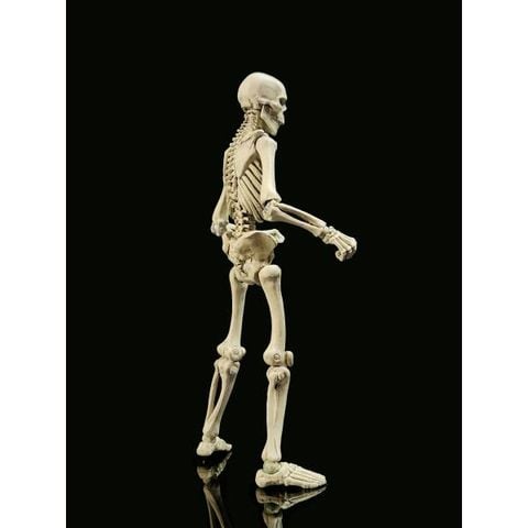 Epic H.A.C.K.S. / Classic Bone 1/12 | Boss Fight Studio Figure