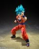 S.H.Figuarts Super Saiyan God Super Saiyan Son Goku Genkai wo Koeshi Aoki Chikara - Dragon Ball Super Dragon Ball Series | BANDAI SPIRITS figure