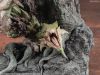 Capcom Figure Builder Creator's Model Rathian Ver.2.0 - Monster Hunter Series | Capcom Figure