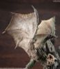 Capcom Figure Builder Creator's Model Rathian Ver.2.0 - Monster Hunter Series | Capcom Figure