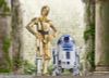 S.H.Figuarts C-3PO Classic Ver. STAR WARS A New Hope | BANDAI SPIRITS Figure