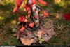 Mushroom Girls Series No.6 Marasmius Haematocephalus 1/1 - Mushroom Girls Series | Reverse Studio Figure