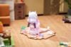 Kanna Holiday Ver. 1/7 - Miss Kobayashi's Dragon Maid | Good Smile Arts Shanghai Figure