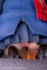 Rainy Day Meeting 1/7 | EUSUN Figure