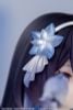 Seele Vollerei Chibi Herrscher Ver. - Honkai Impact 3rd | Myethos Figure