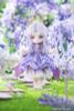Action Figure NF-002 Viola Non Scale - Cuddle Flower | HASUKI Figure