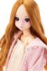 ruruko ae ruruko [Candy Stripper] HobbyJAPAN Doll