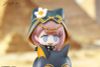 HappyShake Pepe - Arknights | APEX Figure