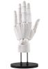ARTIST SUPPORT ITEM HAND MODEL MEN'S/L WHITE | Kotobukiya Goods
