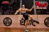 Storm Arena Jack Hammer 1/12 - Baki Hanma | Storm Collectibles Figure