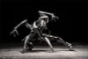 Action Figure B006 Ant 1/12 - Vermin Artificial Evolution | SEXYiCE Figure