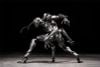 Action Figure B006 Ant 1/12 - Vermin Artificial Evolution | SEXYiCE Figure