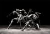 Action Figure B006 Ant 1/12 - Vermin Artificial Evolution | SEXYiCE Figure