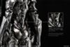 Action Figure B006 Ant 1/12 - Vermin Artificial Evolution | SEXYiCE Figure
