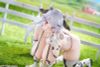 BUNNY SUIT PLANNING Shion Blankness Cow Bikini Ver. 1/6 - Original Work | Phat Company Figure