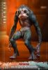 Movie Masterpiece 1/6 Dek Bone Bison Armor & Bud - Predator Badlands | Hot Toys Figure