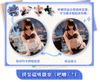 Teacher Cloth Outfit Specifications 1/6 - Real on real | BearPanda Figure