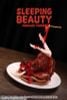 Pancake Fairies Choco Berry - Pancake Fairies | WE ART DOING Figure