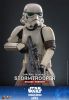 Movie Masterpiece Imperial Remnant Stormtrooper Deluxe Edition 1/6 Scale Figure - Star Wars The Mandalorian | Hot Toys