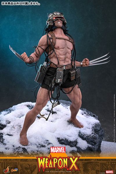 Comic Masterpiece Weapon X 1/6 - Marvel Comics | Hot Toys Figure
