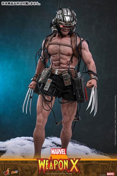 Comic Masterpiece Weapon X 1/6 - Marvel Comics | Hot Toys Figure