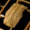 ARTPLA SCULPTURE WORKS King Ghidorah Re Imagination - Godzilla Series | Kaiyodo Plastic Model