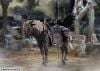 figma Spirit Steed Torrent Elden Ring | Max Factory Figure