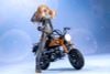 Megami Device PUNI MOFU RACING TU with Honda Z50J-1 Monkey - Megami Device | Kotobukiya Plastic Model