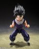 S.H.Figuarts Son Gohan Z Warriors Edition - Dragon Ball Z | BANDAI SPIRITS Figure