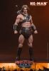 Movie Masterpiece He-man 1/6 - Masters of the Universe | Hot Toys Figure